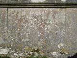 image of grave number 448293